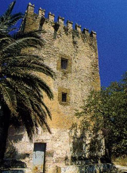 torrebonura