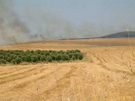 wenn es Herbst wird in Sizilien