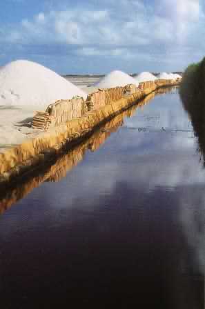 salinas near trapani, salt
via del sale